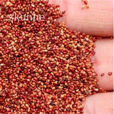 Image of 200pcs Four Seasons potted strawberry bonsais perennial results balcony flower bonsais of fruits and vegetables