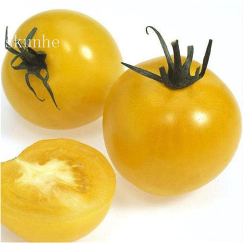 Image of Fresh red tomato bonsai Wang 200 Pcs healthy vegetable bonsais