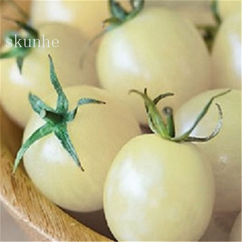 Image of Fresh red tomato bonsai Wang 200 Pcs healthy vegetable bonsais