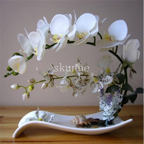 Image of Indoor Balcony Office Rare Orchid bonsais Phalaenopsis Orchid Bonsai Pot new arrival DIY home garden plants Flowers bonsai 5pcs