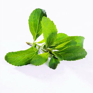1000pcs/bag Stevia flores Stevia Herbs plantas Bonsai plant plante Green Herb Stevia rebaudiana Semillas for Garden Planting