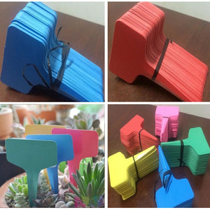 50 pcs New Listing Gardening Label Plastic Insert Plant Labels Ground Inserting Signs Stereo Tags Floral T-labels